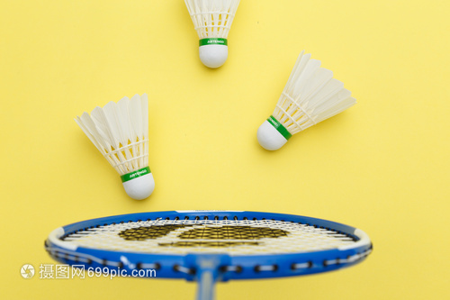 了赛程初段 了赛程初段